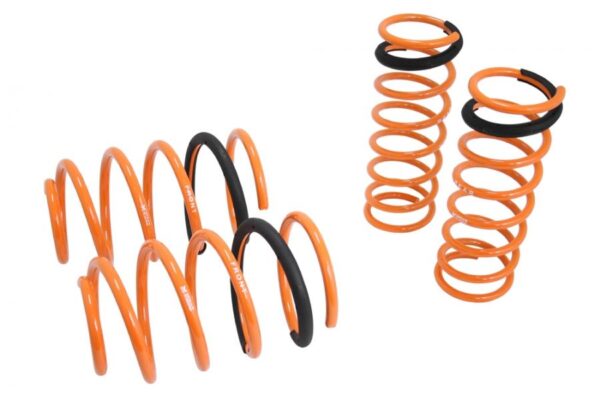 Lowering Springs for Ford Focus 99-04  - MR-LS-FF99